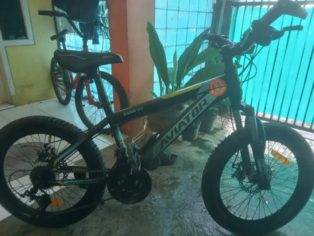 Sepeda MTB  Aviator 2689xt 20 inch