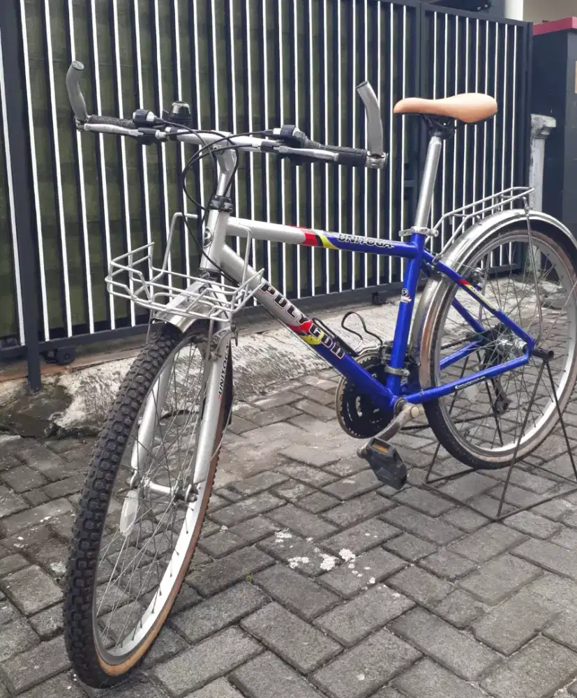 Sepeda MTB polygon unitoga 26 vintage
