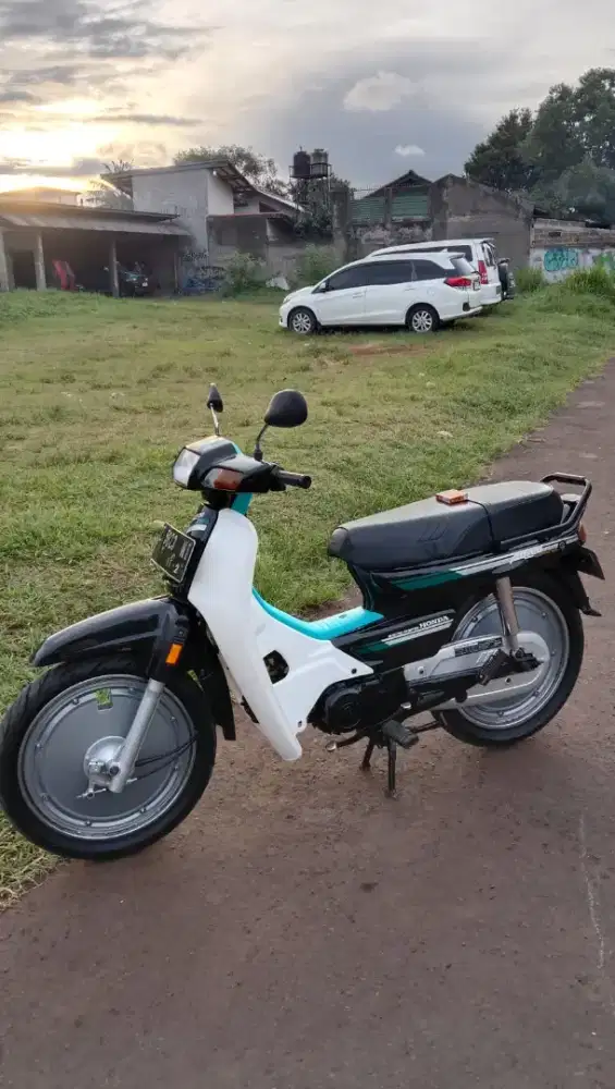 Astrea grand mulus terawat