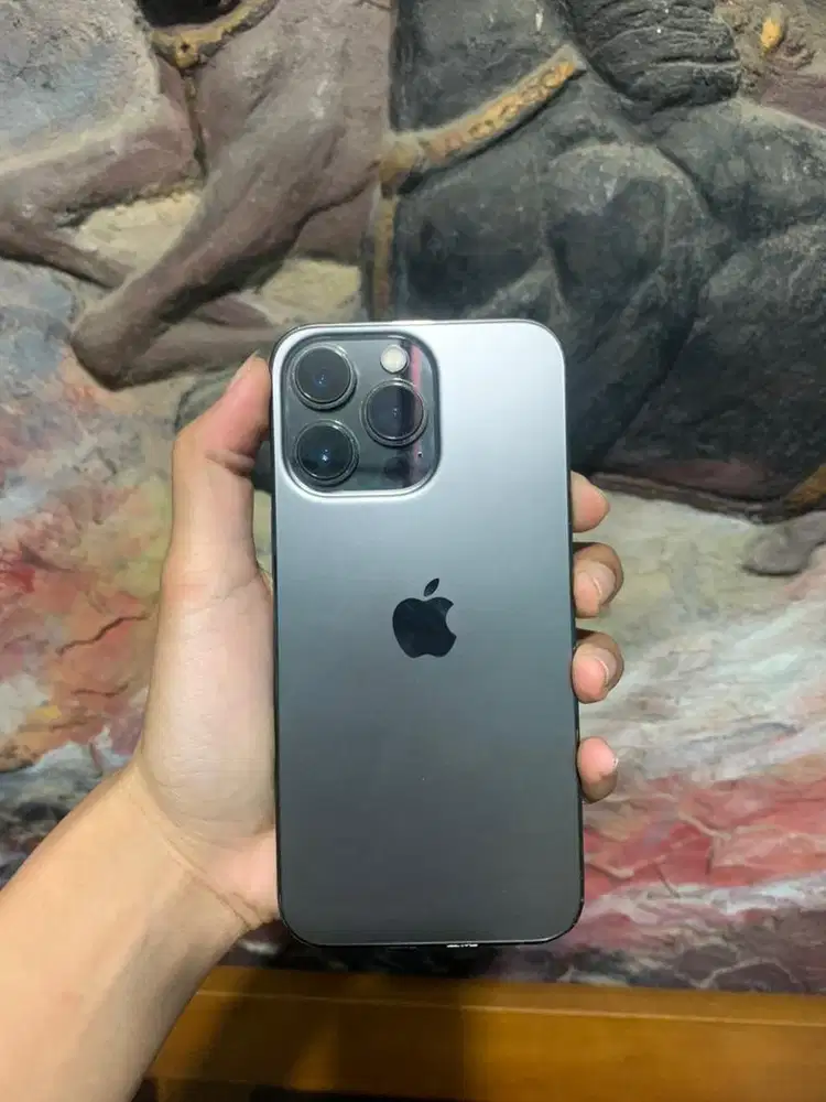 Iphone 13 Pro 256gb Inter All Provider