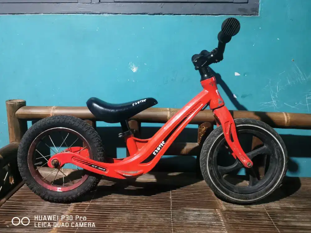 Pushbike / balance bike exotic