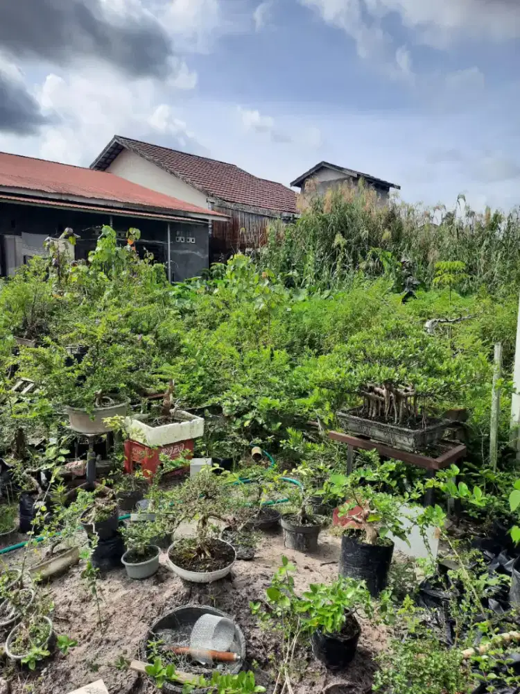 Dijual tanah dipusat kota banjarnasin