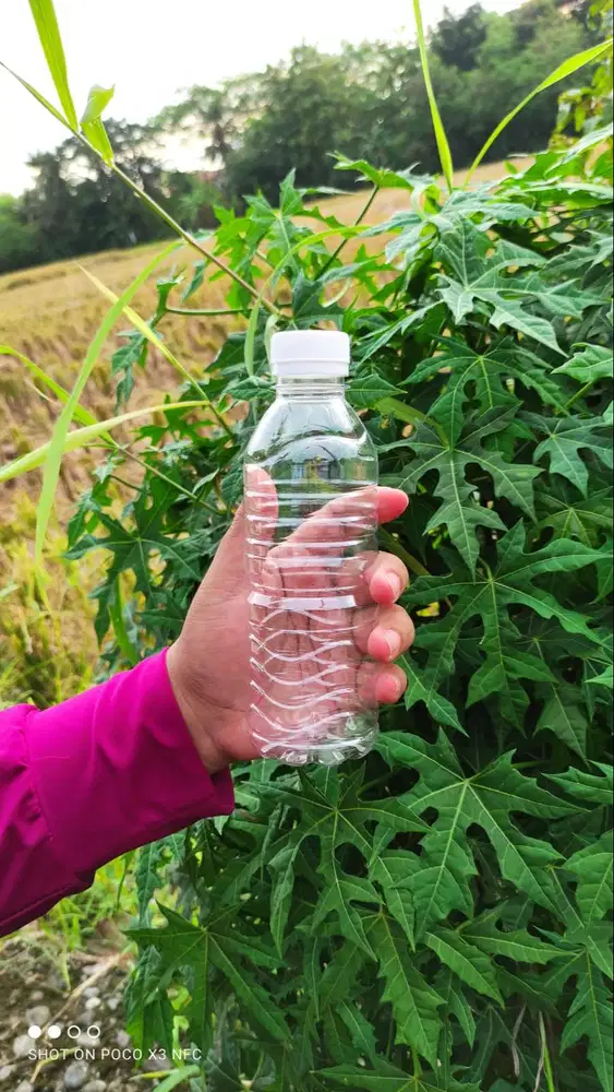 Botol plastik 330 ML Baru