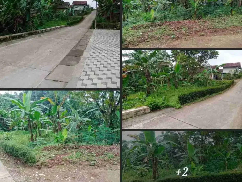 tanah trawas prospek deket cafe deket dengan homestay sangat cocok buat usha atau tempat tinggal