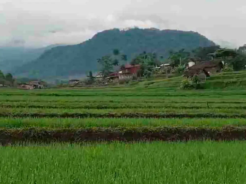 tanah trawas dengan view indah kanan kiri depan suda ada cafe tanah sangat prospek sekali wow