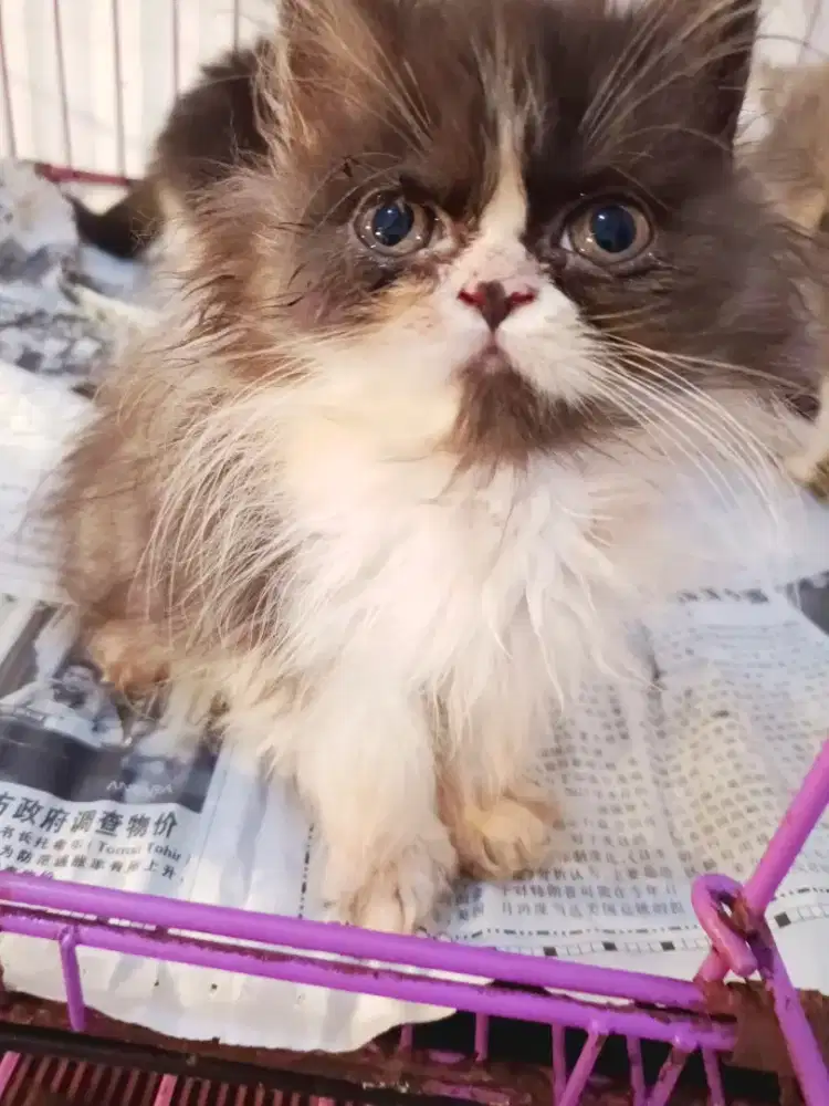 Betina black and white