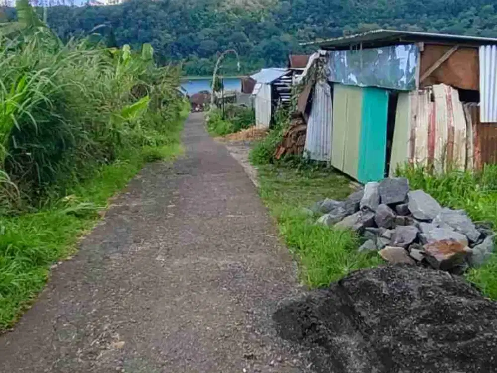 Di jual tanah luas 550m²/5.5 are view danau buyam dan gunung di Buleleng