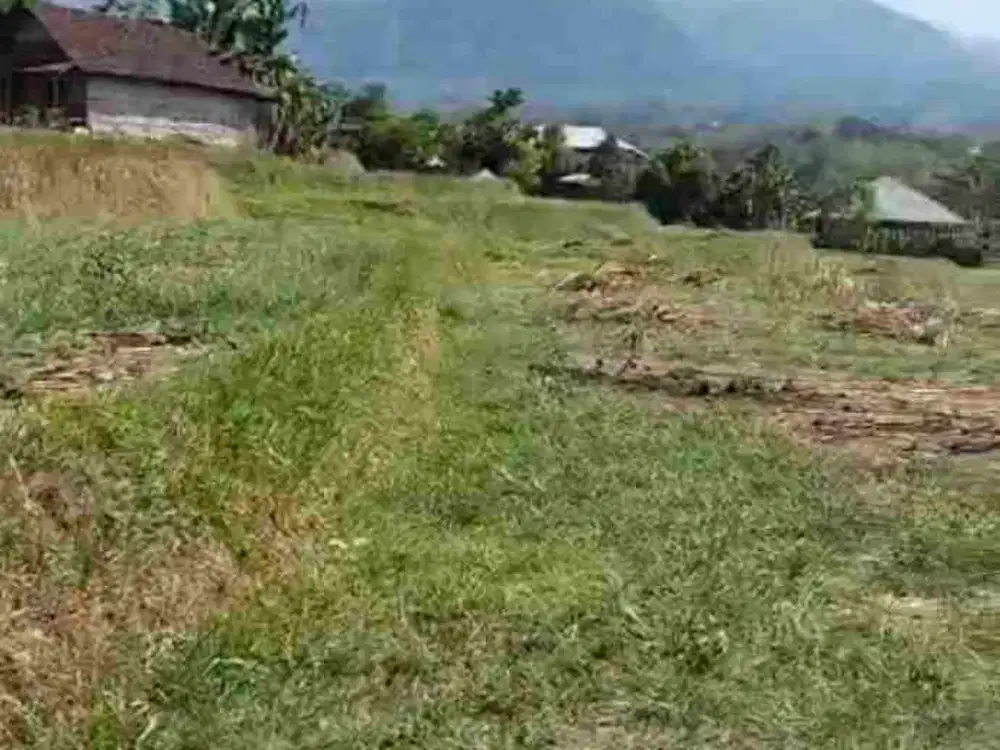 Tanah trawas View bagus pol tanah di atas jalan