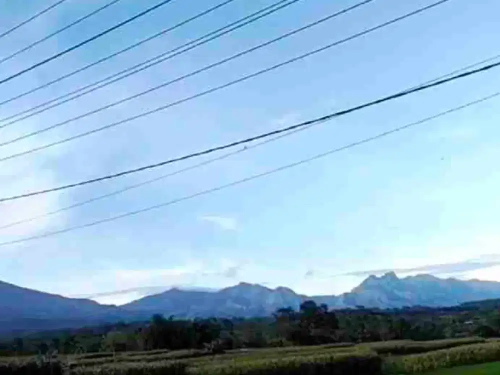 tanah 0 jalan ngoro-trawas luas 1247m