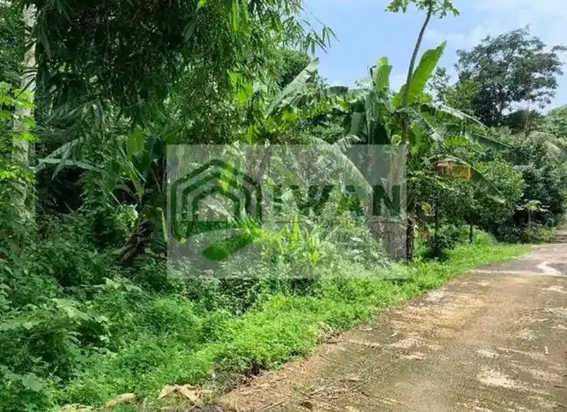 Tanah Pekarangan Luas & Murah Strategis Dekat Jalan DPU