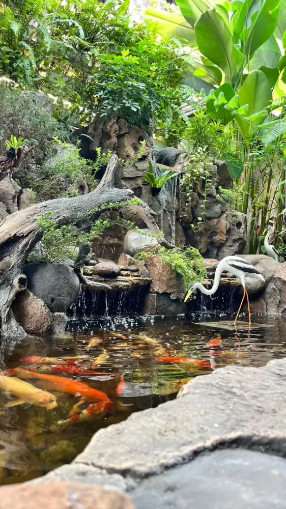 Jasa tukang kolam natural stone,natural pond,kolam minimalis dan taman