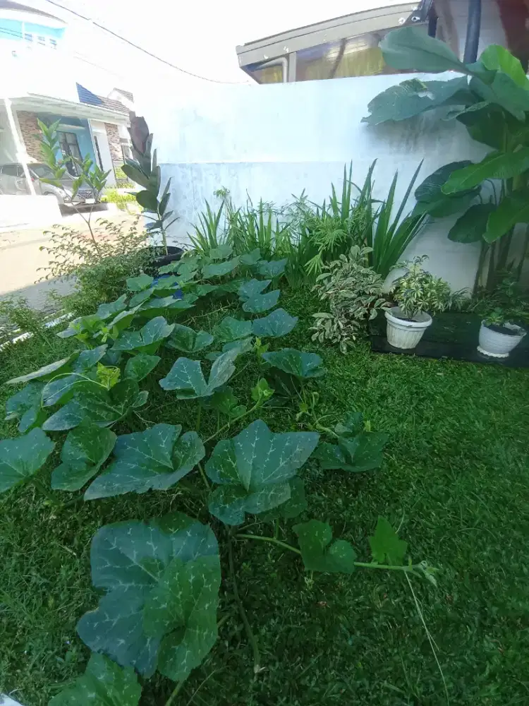 DICARI ART NGINAP (NIAT DAN SERIUS KERJA)