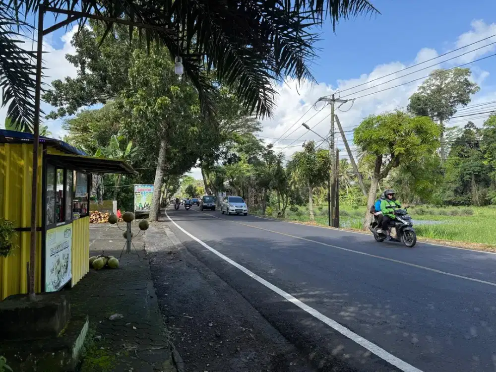 DIJUAL 1 BIDANG TANAH DENGAN TOTAL LUAS 2450 M2 - BADUNG