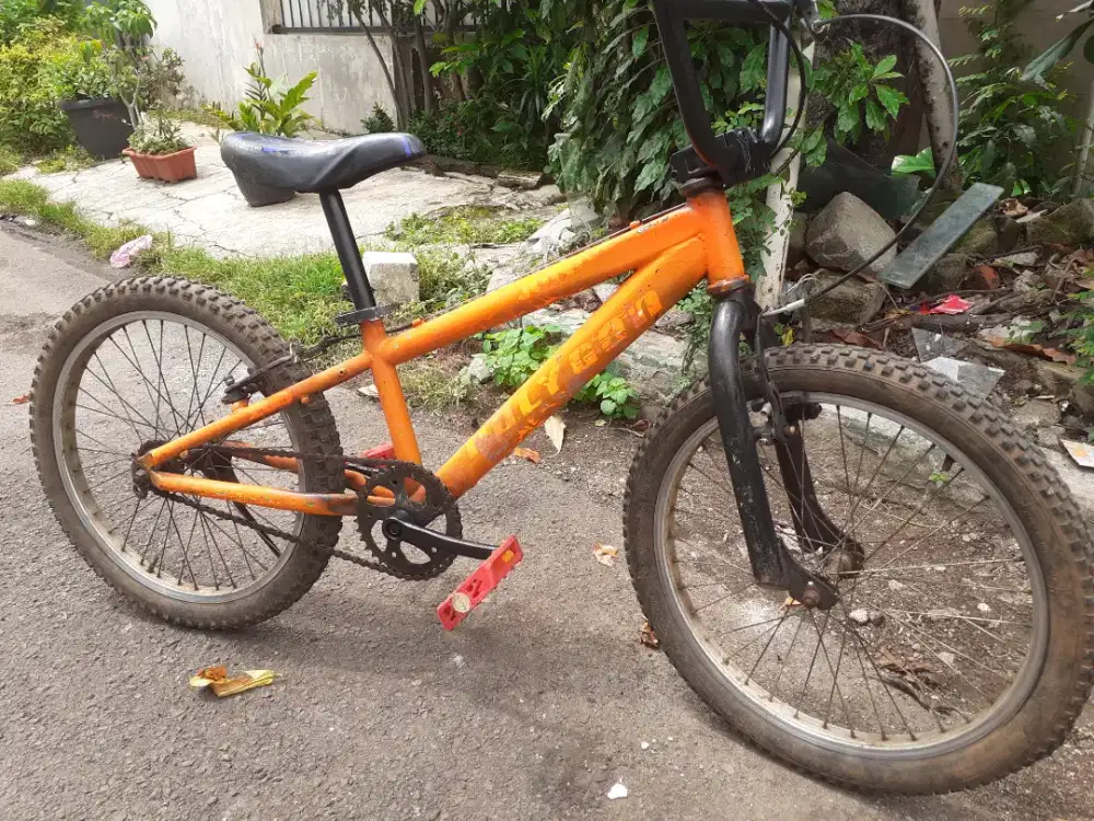 Sepeda Polygon Junior size 20