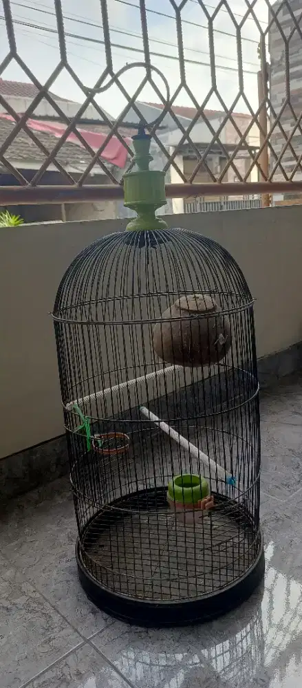 Sangkar Burung Besar
