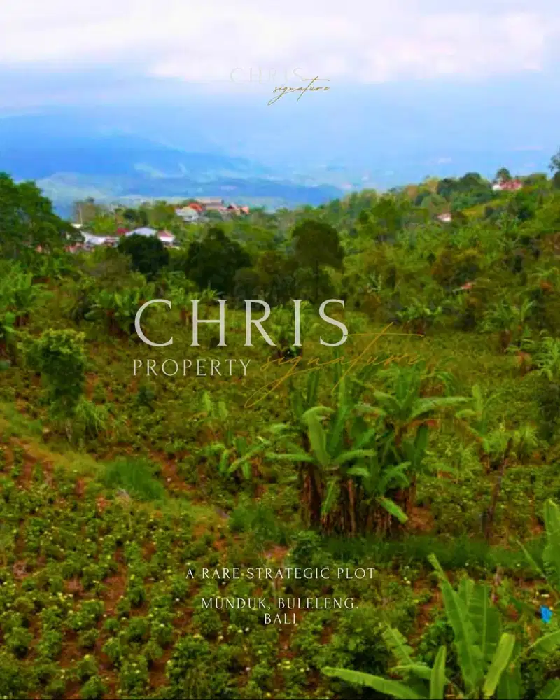 Tanah Murah SHM Munduk Bali | Cocok Villa & Investasi