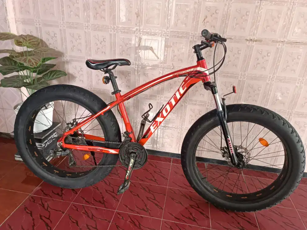 Sepeda Exotic ban 26 besar