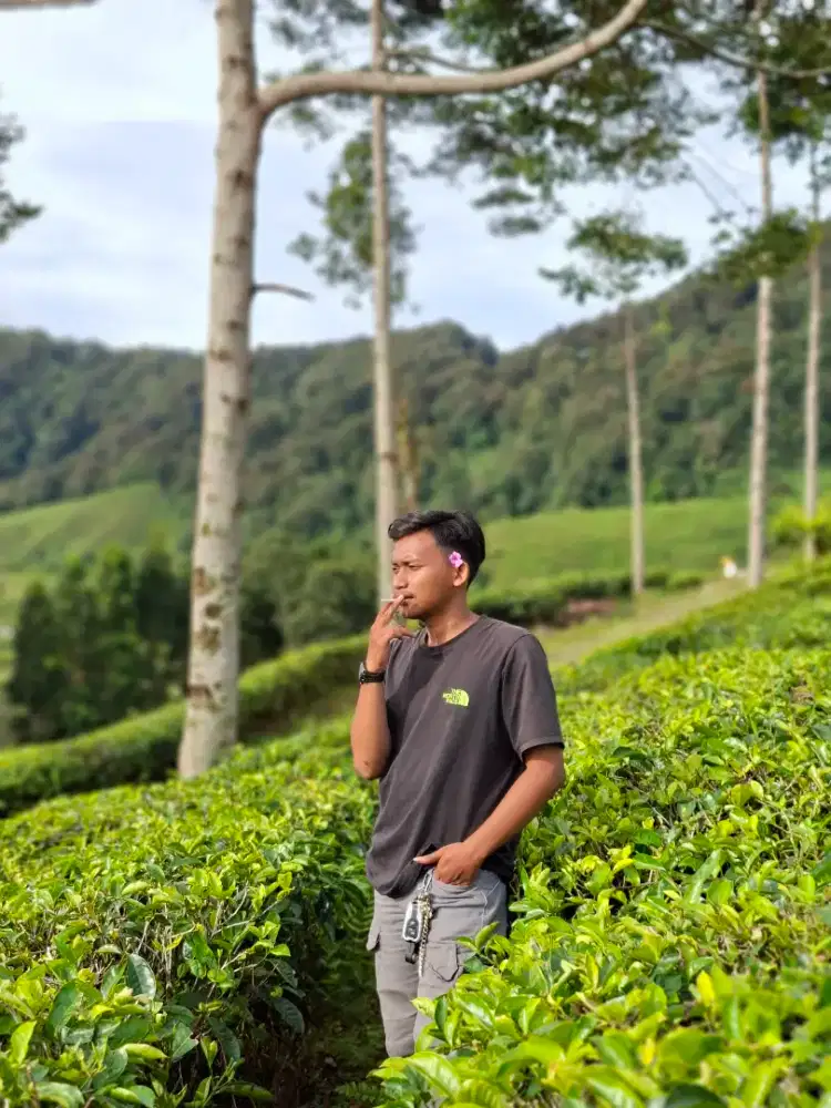 Bismillah cari kerja