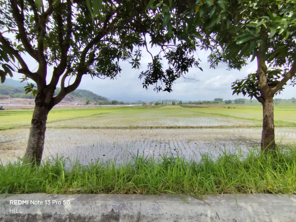 Dijual Tanah Milik Sendiri