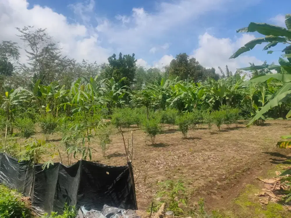 DIJUAL 1 BIDANG TANAH DENGAN TOTAL LUAS 940 M2 - BADUNG