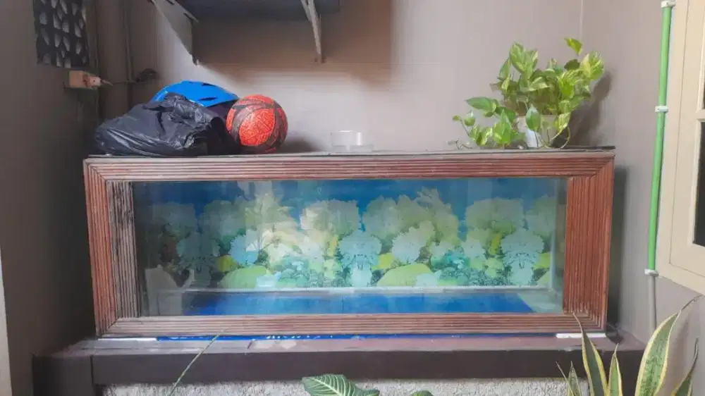 Aquarium 150x50x35 kaca 10 mili