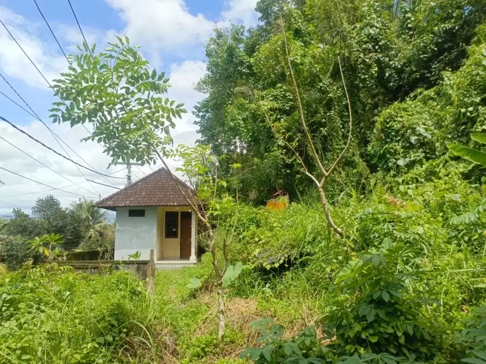 DIJUAL 1 BIDANG TANAH DENGAN TOTAL LUAS 1050 M2 - KLUNGKUNG