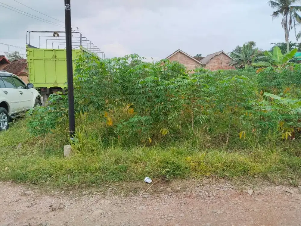 Tanah di Galih lunik Tanjung bintang