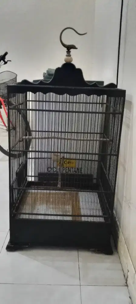 Sangkar kosan kotak ukuran 52 x 83