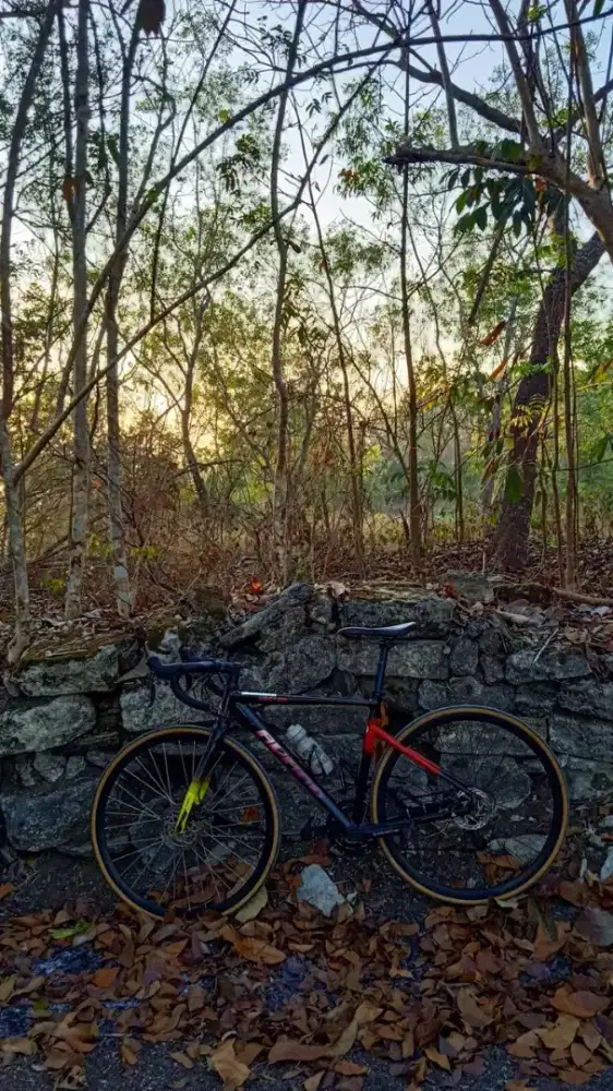 Roadbike Avand Vector 11speed size L