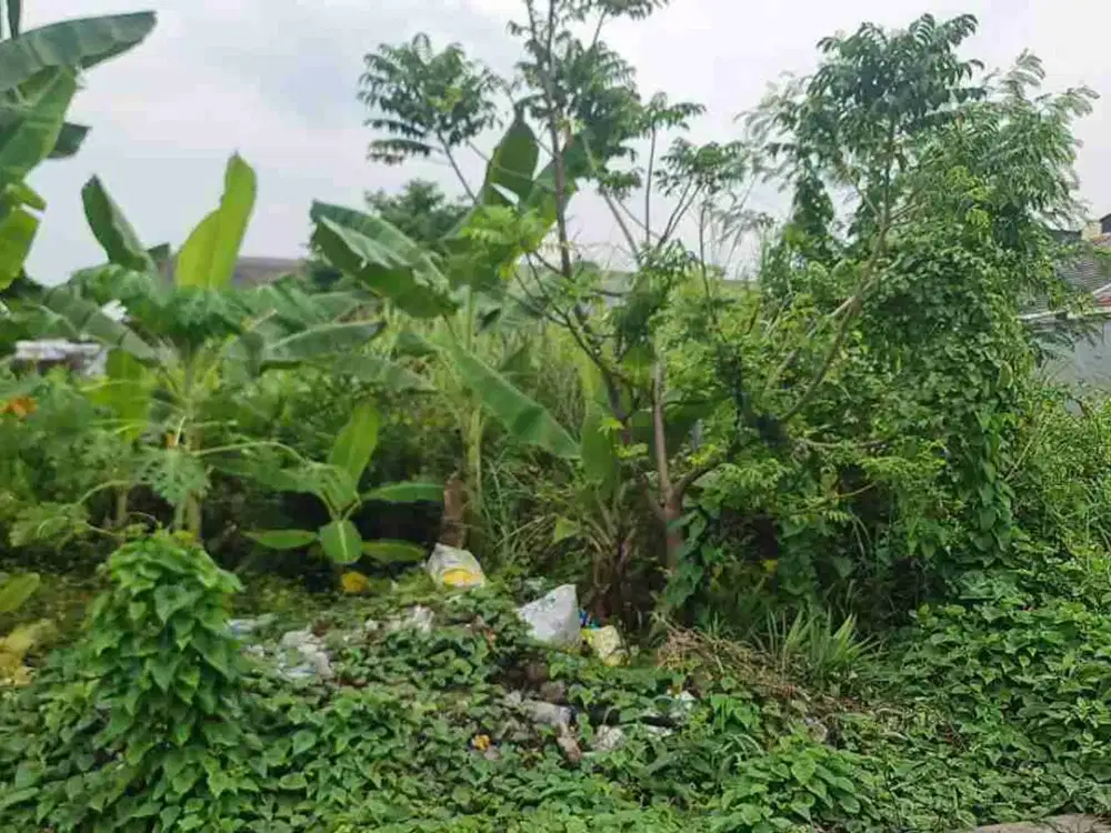 MEDAYU UTARA 3,5 Juta/m2‼️Jual Tanah Kavling Rungkut Lebar 9 dekat UPN Veteran