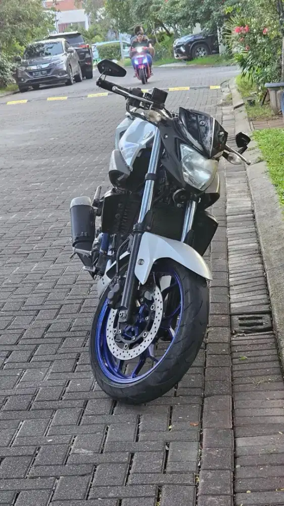 Yamaha MT25 Standard Terawat