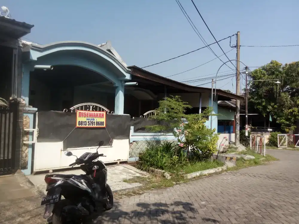 Rumah Disewakan / Kontrakan