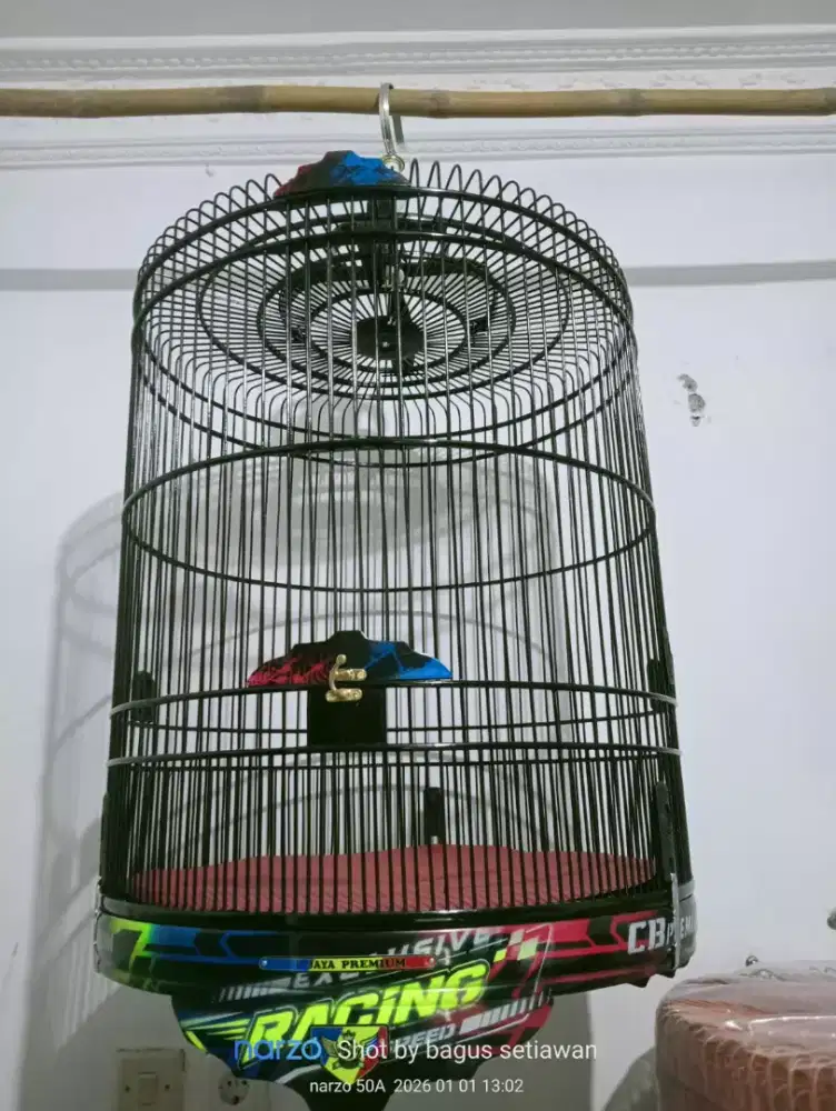 sangkar murai CB jaya airbrush uk55 Baru