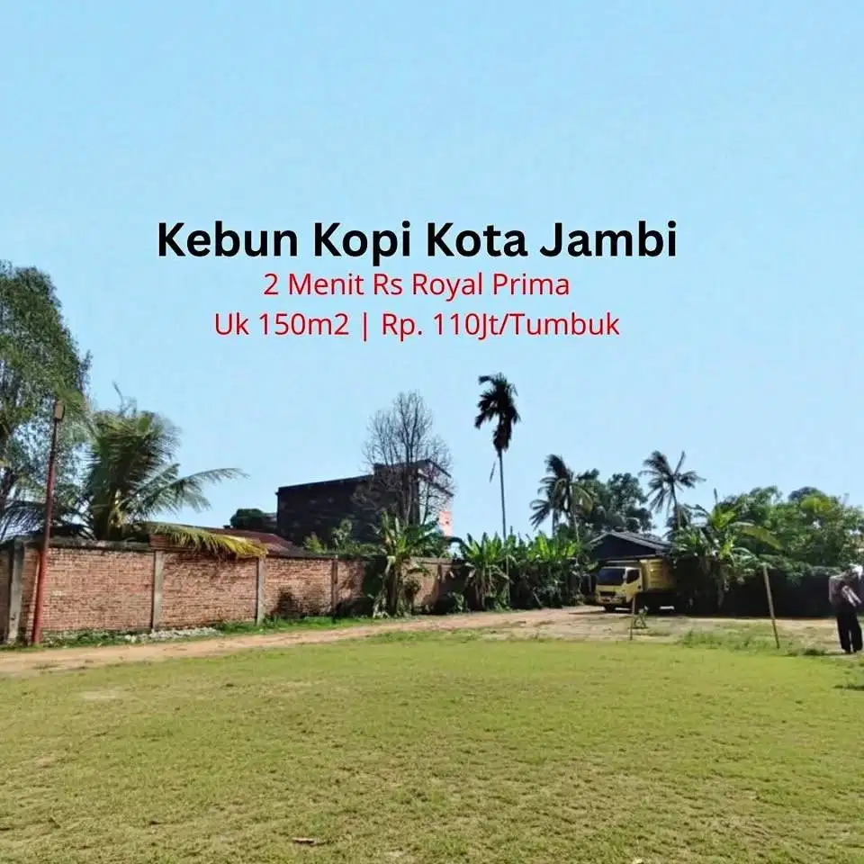 Jual Tanah Kebun Kopi Kota Jambi 130 m2