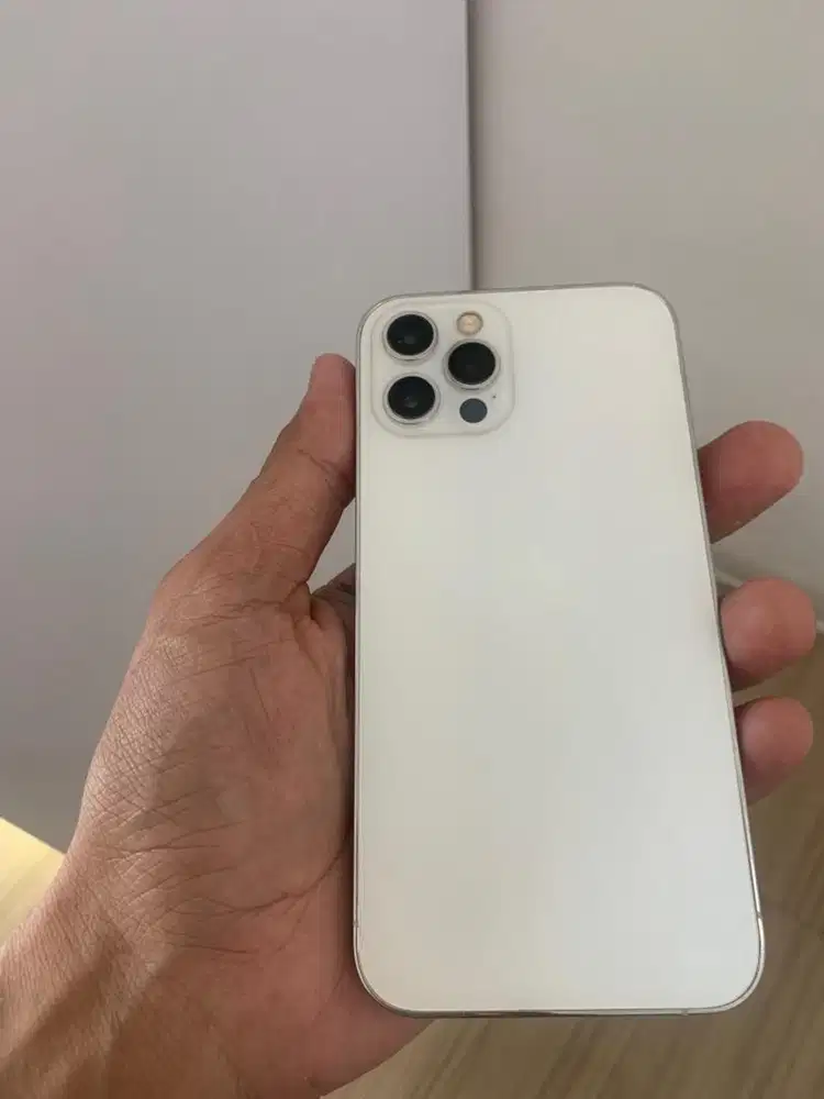 Iphone 12 pro 256 gb beacukai