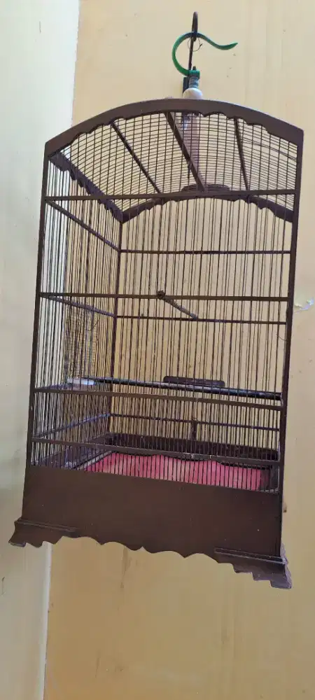 3 Sangkar burung ( borongan )