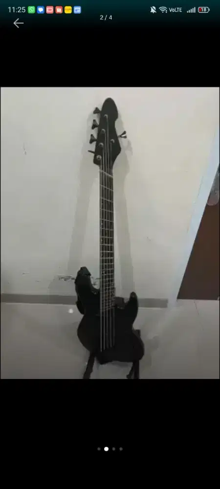 Bass 5 Strings Delicore (boutique custom)