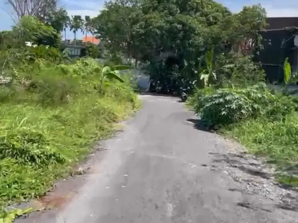 Jual  Tanah Hook  View Sawah Di Kawasan Vila Di Jalan  Shortcut Pantai Nelayan - Pantai Brawa Canggu Bali.