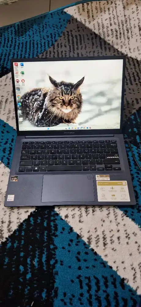 Asus Vivobook Ryzen 5 M1403QA