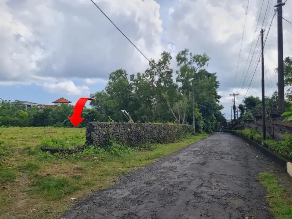 Jual Cepat Tanah Dikawasan Pantai Balangan Jimbaran  Bali Di Jln. Tundun Penyu Dengan Ocean View Dan Airport.