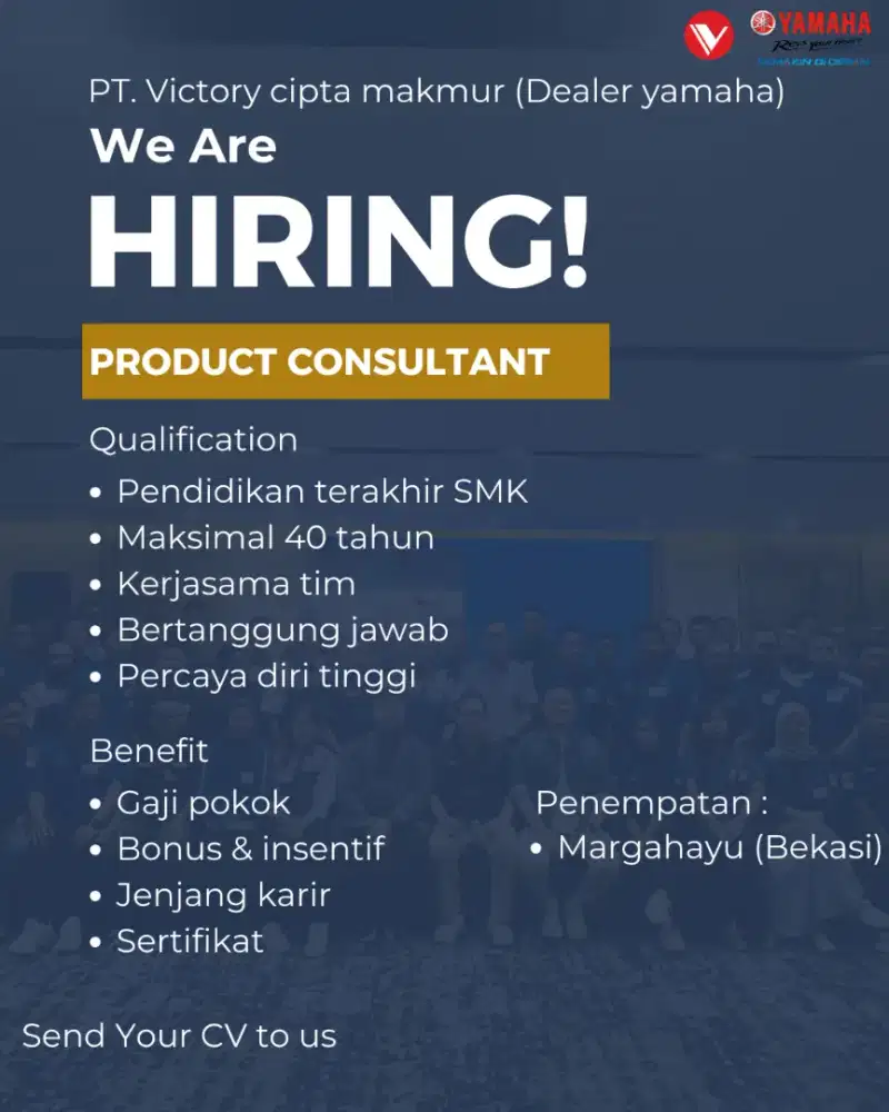 Product consultant