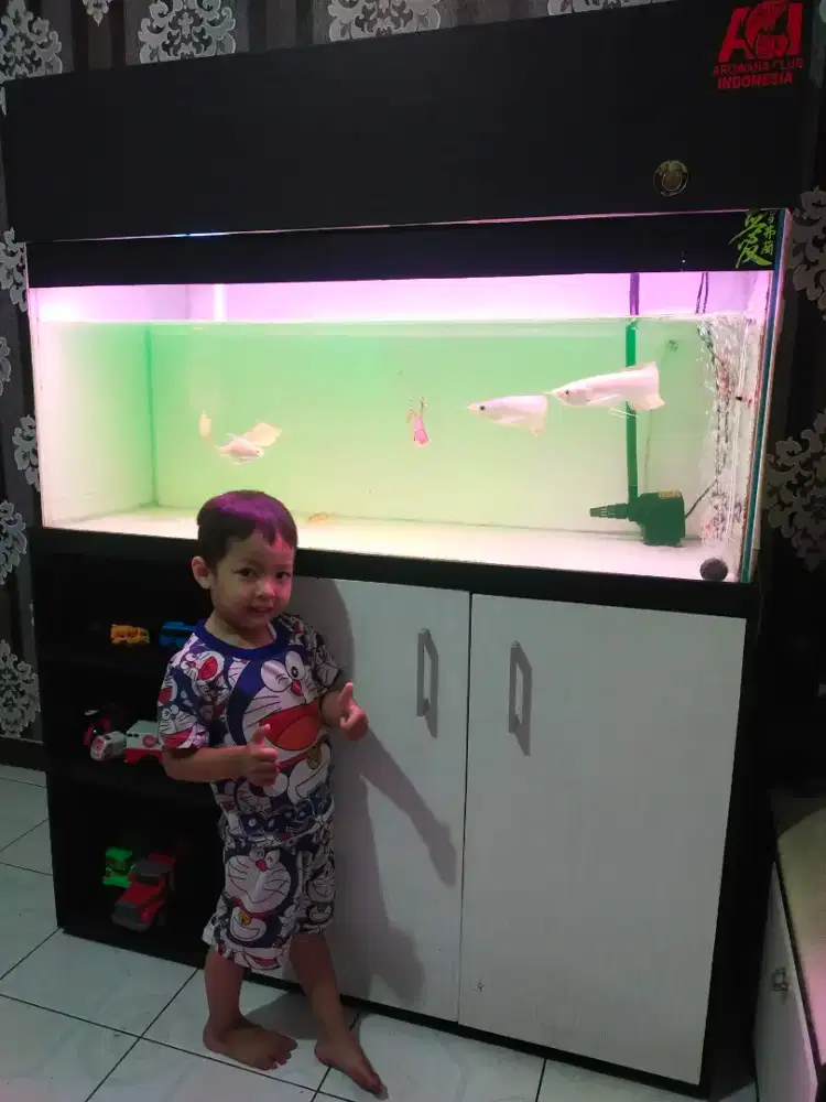 Aquarium kolam ikan besar  MURAH