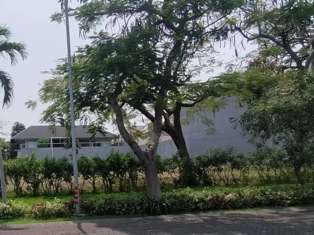 TANAH KAVLING PAKUWON CITY SURABAYA BOULEVARD JALAN UTAMA