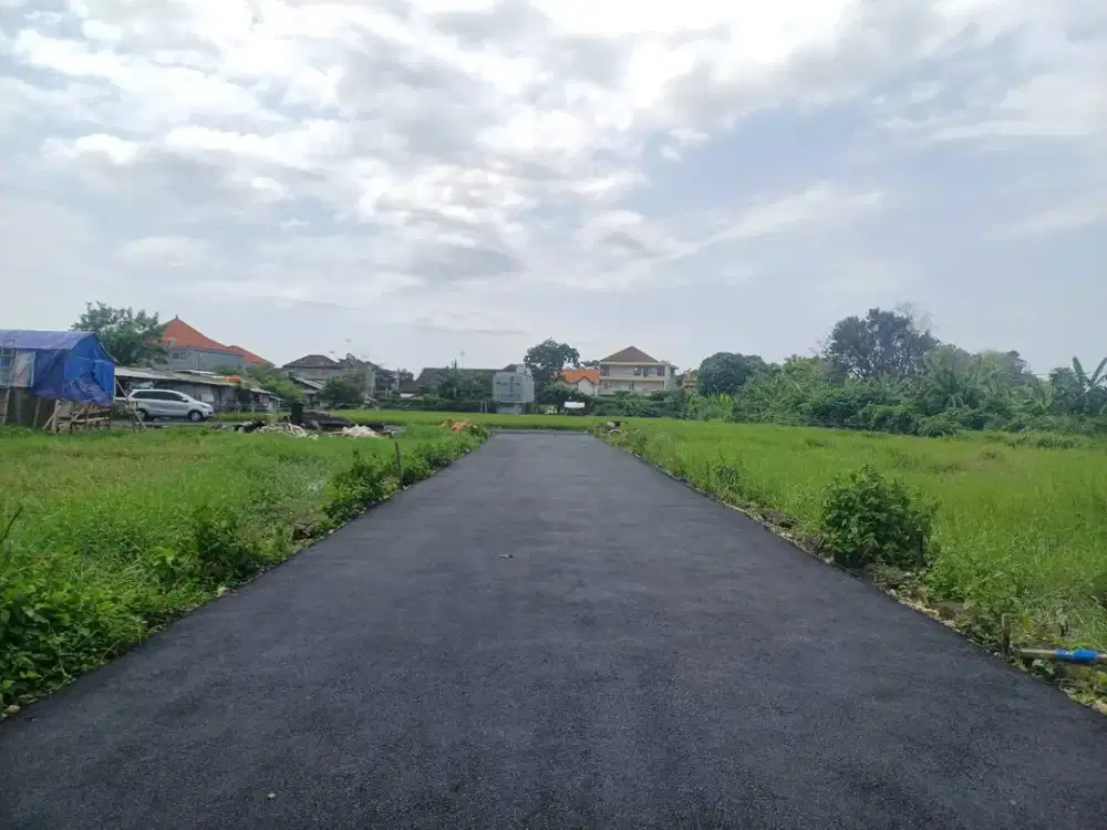Jual Tanah View Sawah Di Jalan Sekar Jepun Denpasar Timur Bali. Dekat Gatsu Barat, Living Mall, Sekar Tunujung, Kertalangu, By Pas Sanur, Pantai Sanur