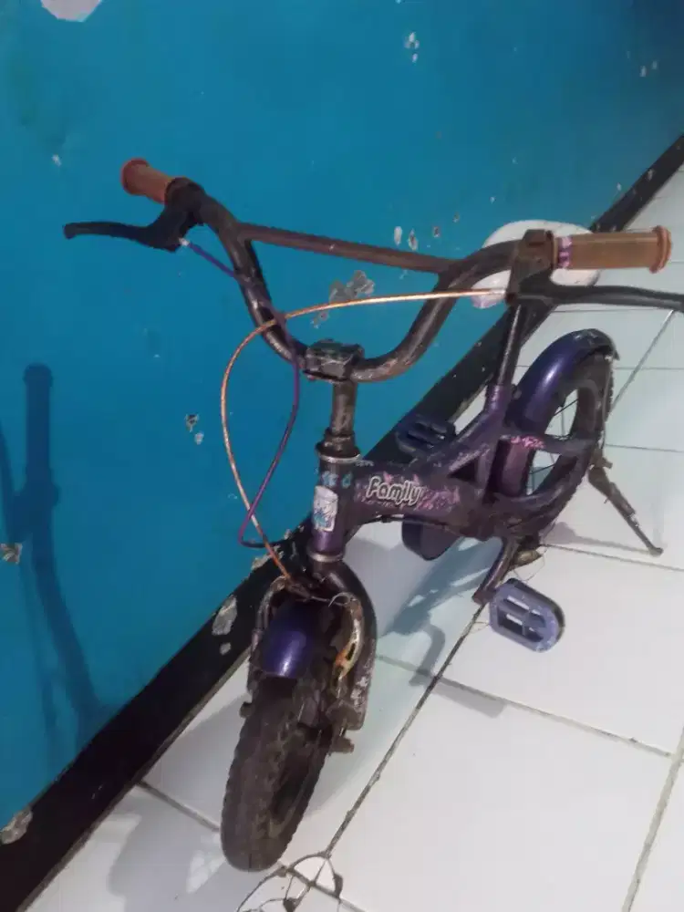 Sepeda anak Family ring 12