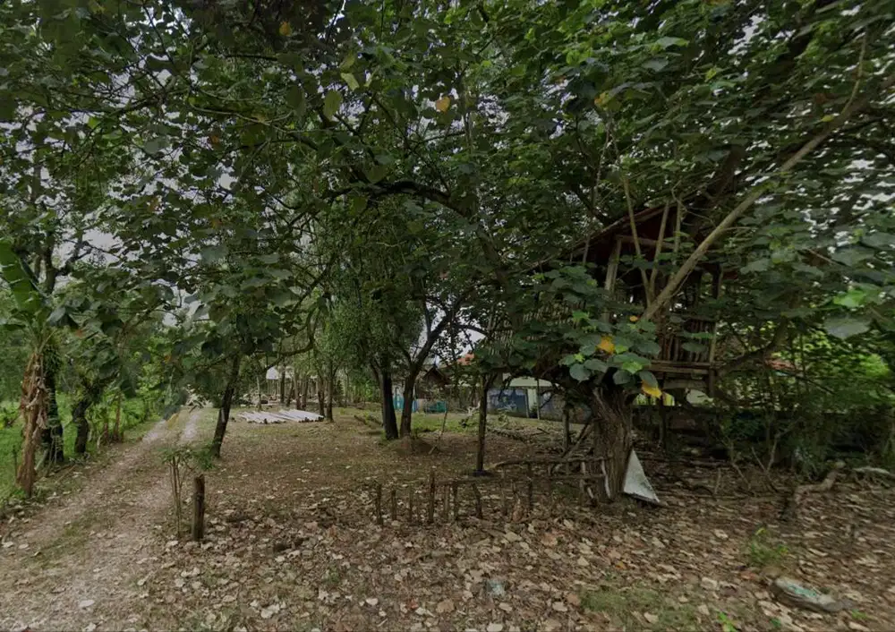 Dijual Tanah Siap Bangun di Pacitan –  2 Bidang Total Luas 3.667 m²