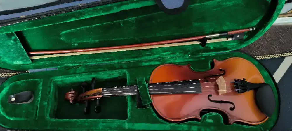 ukulele dan biola borongan