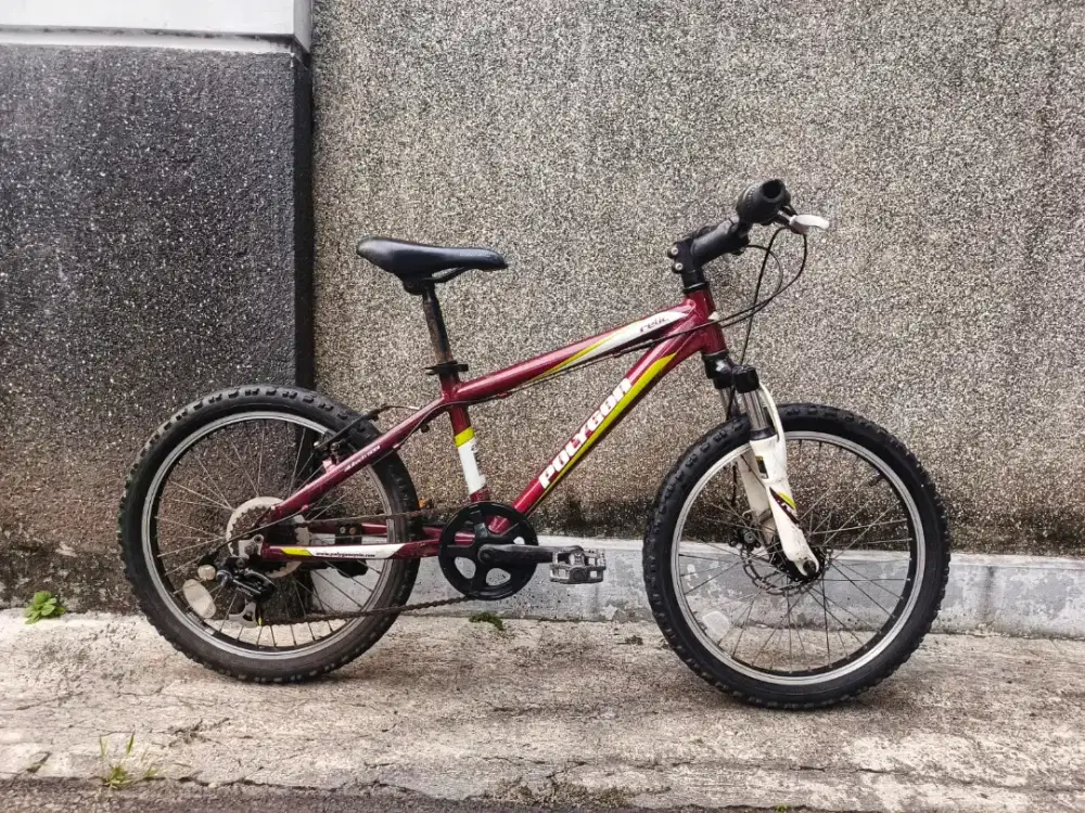 Sepeda anak polygon relic