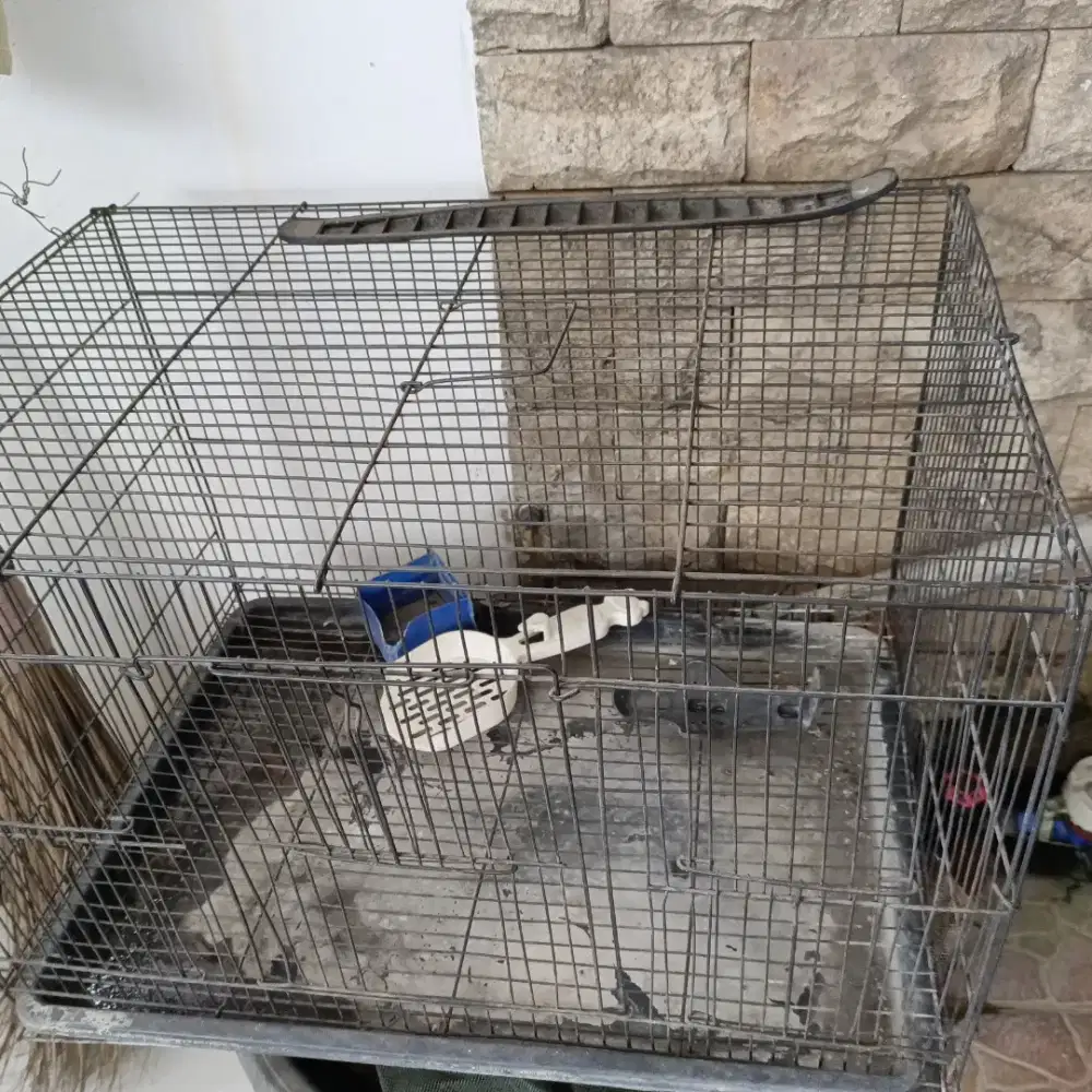 Kandang burung, kelinci, kucing 60x40