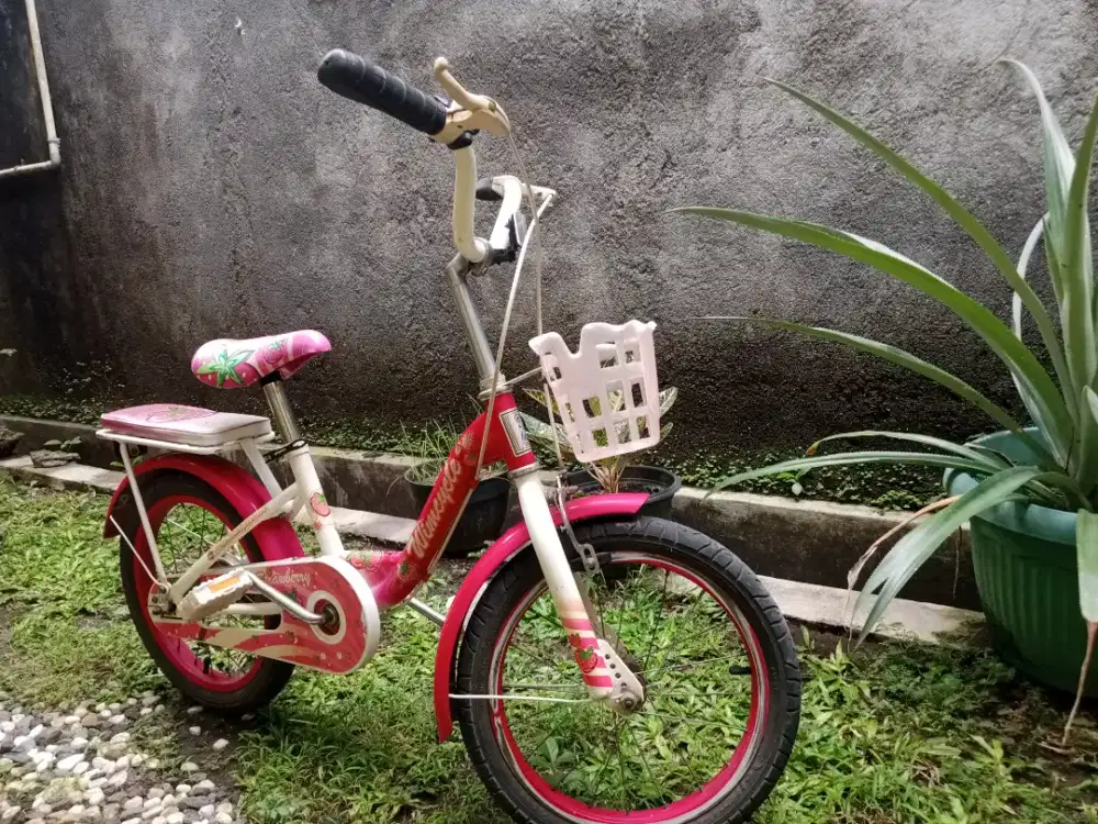Sepeda Anak Wimcycle 16 inch Bagus